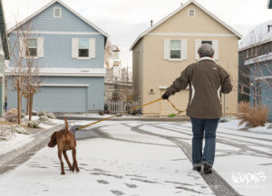 woman walking dog in snow